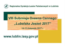 VIII Submisja drewna cennego "Lubelska Jesień 2017"